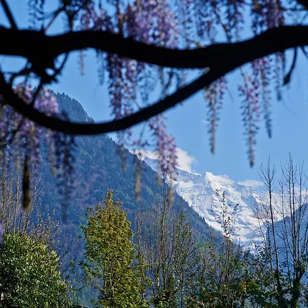 Boutique Maison Bergdorf Bed & Breakfast