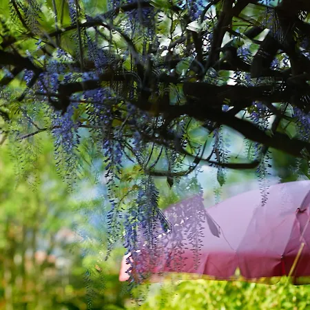 Boutique Maison Bergdorf Bed & Breakfast Unterseen