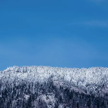 Boutique Maison Bergdorf 3*