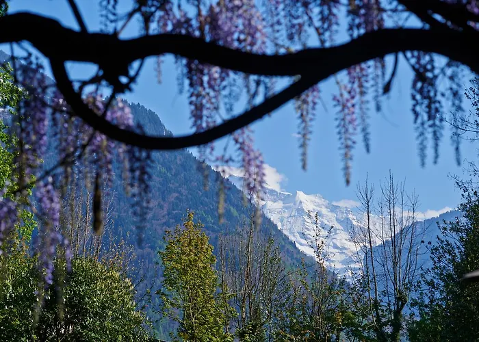 Boutique Maison Bergdorf Bed & Breakfast