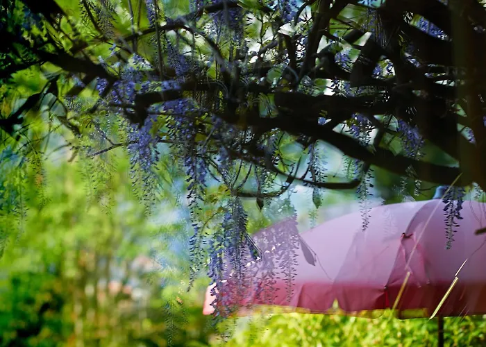 Boutique Maison Bergdorf Bed & Breakfast Unterseen