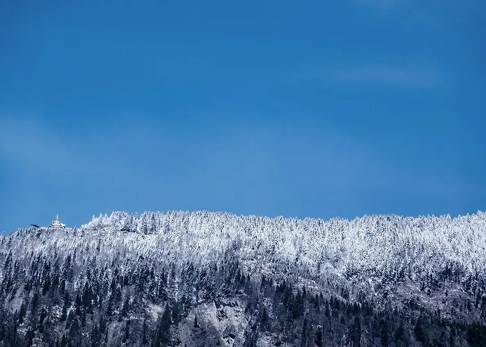 Boutique Maison Bergdorf 3*